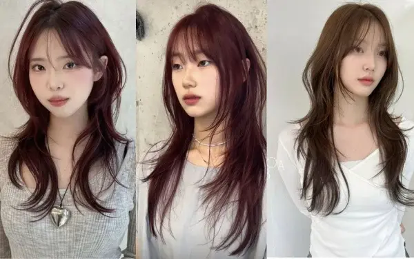 Form tóc layer Kiểu tóc Butterfly Cut nữ layer dễ tạo kiểu Kiểu tóc Butterfly Cut nữ layer tầng đẹp tự nhiên