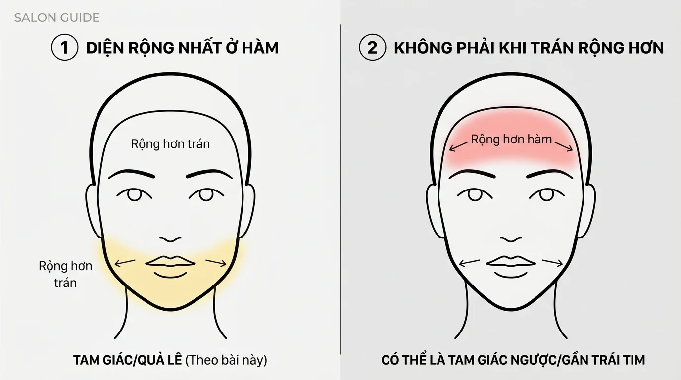 Sơ đồ hai khuôn mặt so sánh vùng hàm và trán, minh họa các dáng mặt tam giác/quả lê và trường hợp ngược lại.