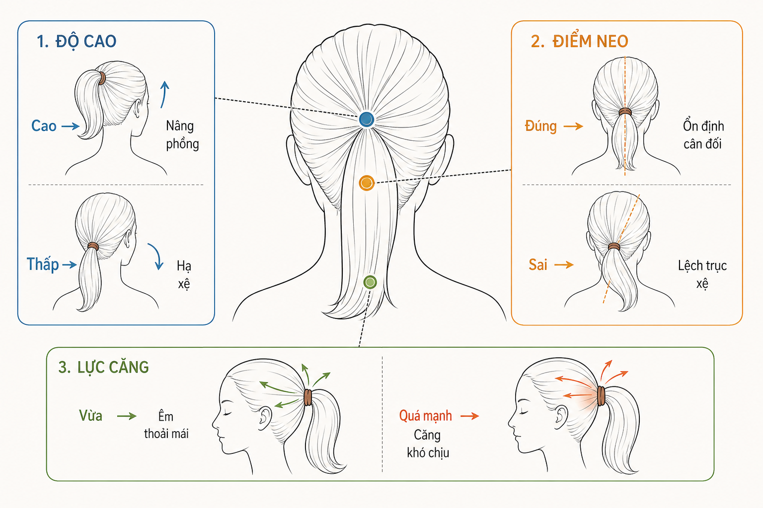 Sơ đồ buộc tóc với các vị trí cao, thấp, điểm neo và lực căng trên mái tóc