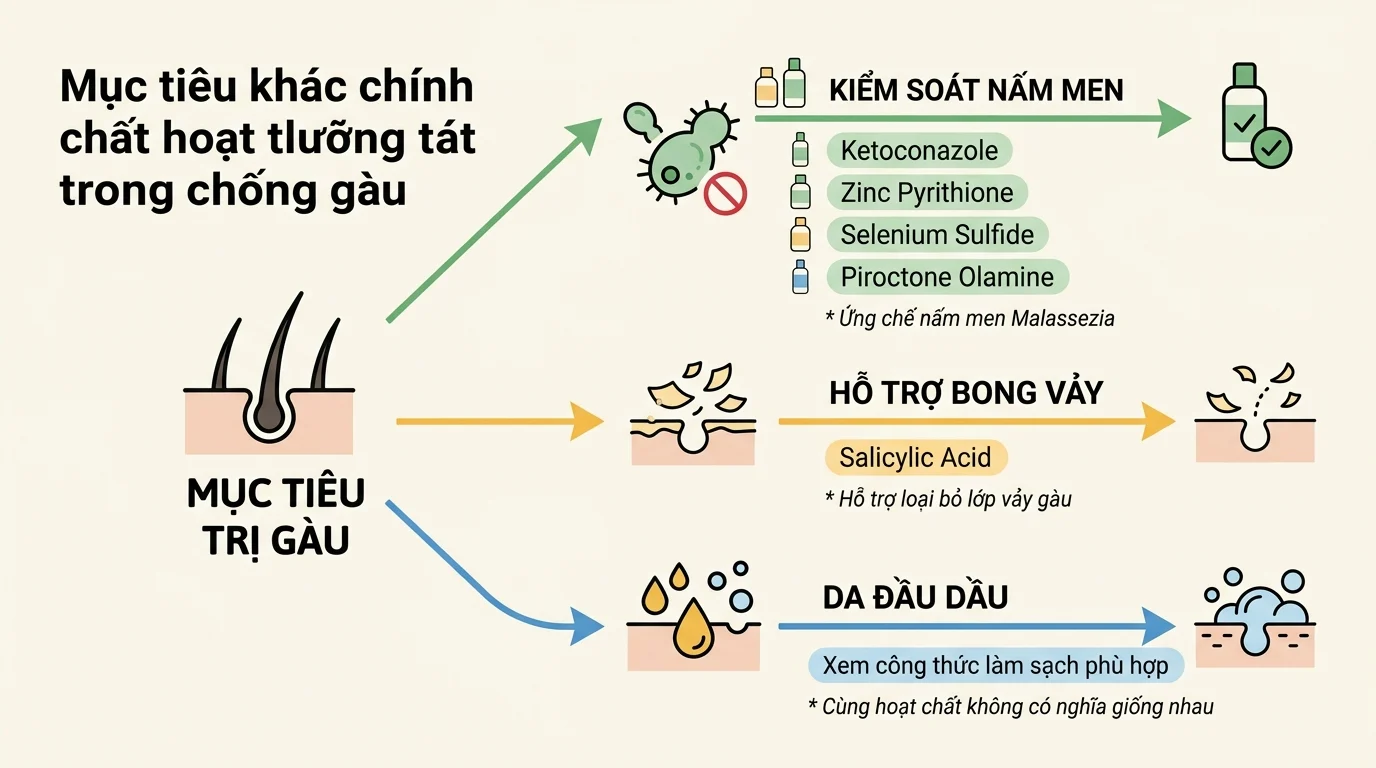 Sơ đồ các mục tiêu trị gàu, gồm kiểm soát nấm men, hỗ trợ bong vảy và chăm sóc da đầu dầu với các mũi tên màu sắc.