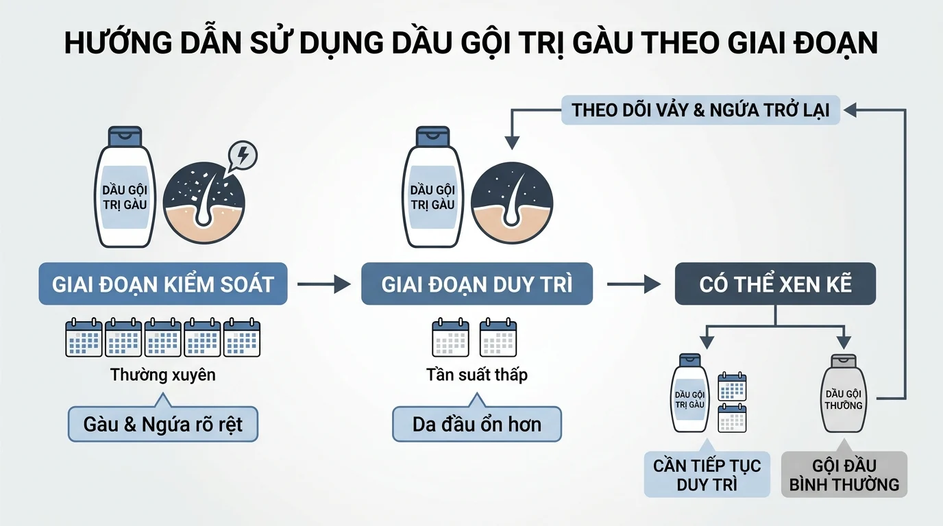 Sơ đồ hướng dẫn dùng dầu gội trị gàu theo giai đoạn, với các biểu tượng chai dầu gội, lịch và da đầu ở từng bước.