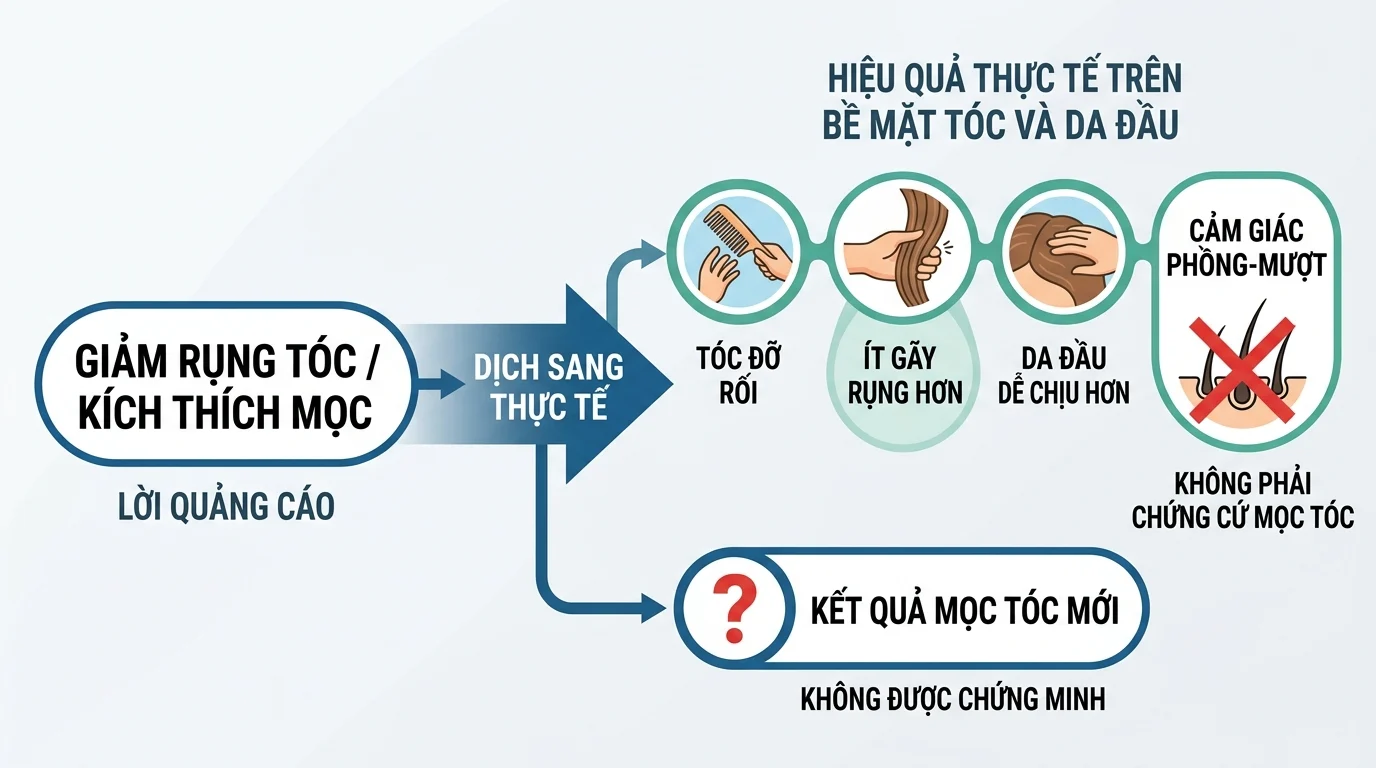Sơ đồ tiếng Việt về lời quảng cáo giảm rụng tóc và kích thích mọc tóc, so với hiệu quả thực tế trên tóc và da đầu.