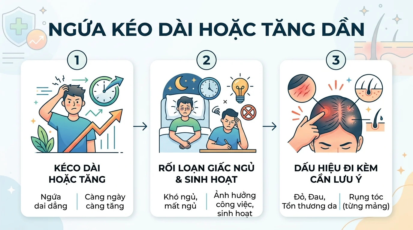 Infographic tiếng Việt về ngứa kéo dài hoặc tăng dần, kèm biểu tượng mất ngủ và dấu hiệu da đầu cần lưu ý.